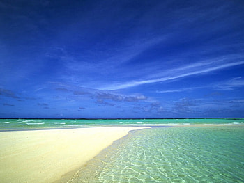 Nature Beauty , sea, nature HD wallpaper