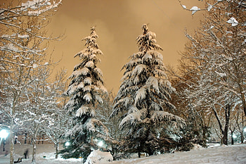 Winter, Nature, Sky, Clouds, Snow, Shine, Light, Park, Lamp, Lantern, Drifts, Ate, Cover, Heavy HD wallpaper