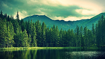 mountains, summer, lake, trees, forest HD wallpaper