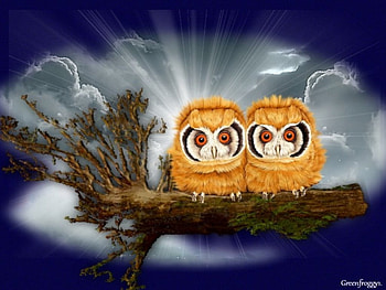 WATCHING OVER THE NIGHT, ART, OWLS, CREATION, ABSTRACT HD wallpaper