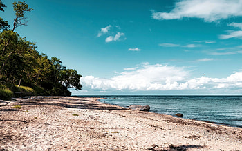 The east coast of Fehmarn Island, Germany, trees, clouds, sky, baltic sea, landscape HD wallpaper