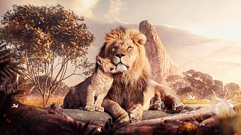 Top 50 lion backgrounds, Captivating , Mesmerizing , Impressive HD wallpaper