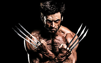 wolverine-hugh-jackman-x-men---collection- HD wallpaper
