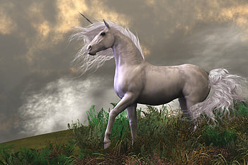 Unicorn, horse, fantasy, game, CG HD wallpaper