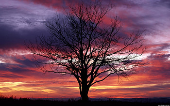FANTASY scene, sky, nice HD wallpaper
