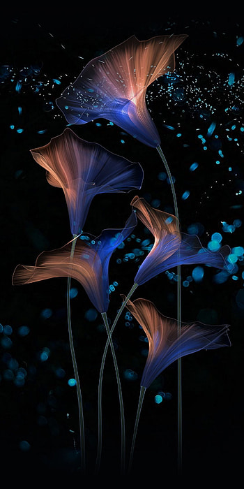 Flowers, abstract, glow, digital art, . Beautiful background, Blue flower , Colorful, Beautiful Dark Abstract HD phone wallpaper