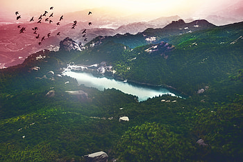 Aerial view, lake, green valley, trees, sunset HD wallpaper