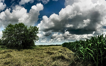 Wonderful View, clouds, grass, sky, nature HD wallpaper