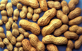 Food, Background, Shell, Peanut HD wallpaper