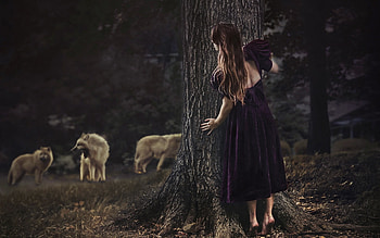 Hidding, trees, girl, wolves, hide HD wallpaper