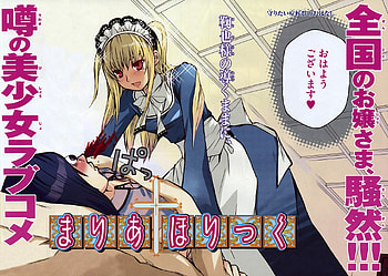 Maria Holic Mariya And Kanako, mariya, cross dressing, kanako, trap, maid outfit HD wallpaper