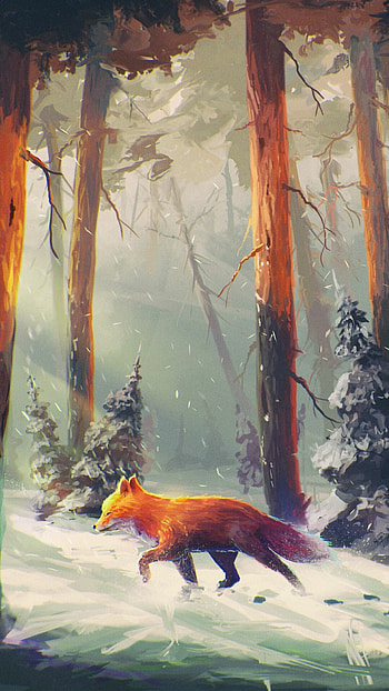 Cute red fox, Adorable animal, Lovely , Nature HD phone wallpaper