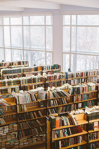 Spacious library room with bookshelves under natural daylight for study or research. HD phone wallpaper