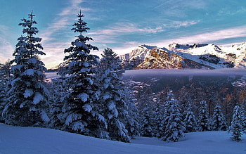 Saint-Léger-les-Mélezes, French Alps, snow, winter, clouds, landscape, trees, sky, mountains HD wallpaper