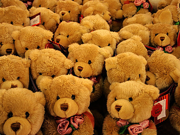 Sweet teddy bears for all in DN with warm hugs, sweet, cute, teddy, bear HD wallpaper