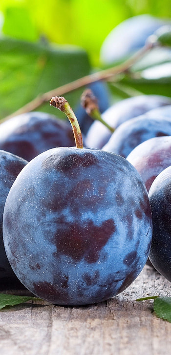 Plum fruit HD phone wallpaper