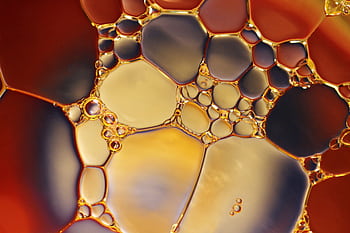 Close-up of colorful oil and water interaction creating a vibrant abstract pattern. HD wallpaper