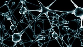 Cell biology , Cellular study, Science-themed , Beautiful visuals HD wallpaper