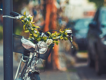 Flowers, Miscellanea, Miscellaneous, Headlight, Bicycle HD wallpaper