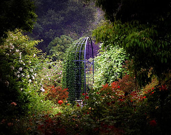 beautiful garden, green, garden, beautiful, nature, flowers, spring HD wallpaper