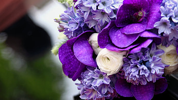 Plants, Flowers, Bouquets HD wallpaper