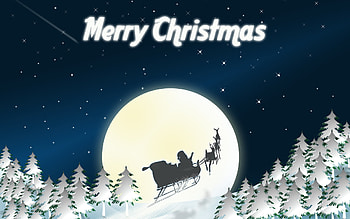 Holidays, Background, New Year, Christmas, Xmas HD wallpaper