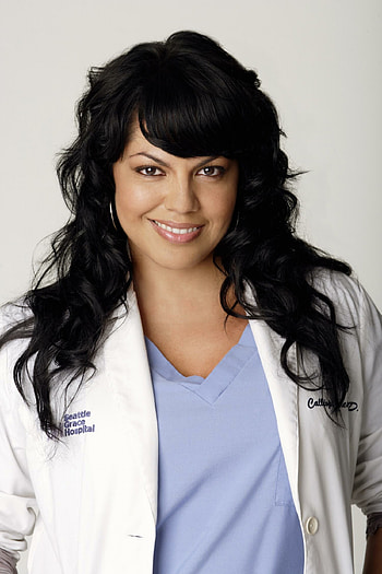 Sara Ramirez in Grey's Anatomy, DVDbash , Celebrities, Sara Ramirez HD phone wallpaper