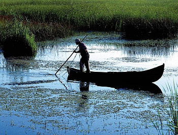 Romania-Danube Delta, danube delta, romania HD wallpaper