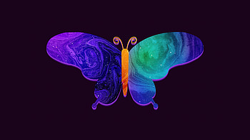 Butterfly Minimal Dark , butterfly, minimalism, minimalist, artist, artwork, digital-art, dark, black HD wallpaper