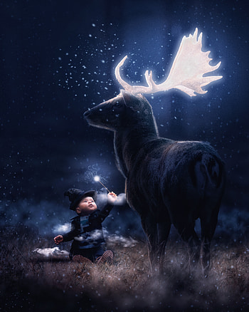 Baby Wizard, deer, magic, sorcerer, fantacy, night, animal, magician, glow, adorable HD phone wallpaper