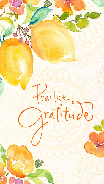 quotes, Gratitude quotes, Happy quotes, Motivational words HD phone wallpaper