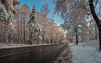 Winter Road in Latvia, winter, trees, road, snow HD wallpaper