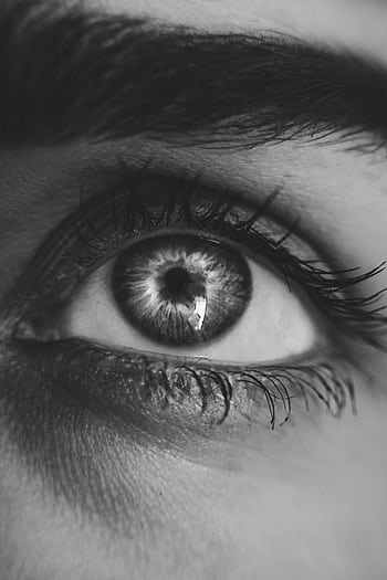 Detailed black and white macro shot of a human eye demonstrating intricate detail. HD phone wallpaper
