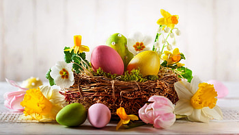 Yellow Green Pink Easter Eggs Colorful Flowers Basket Blur Background Happy Easter HD wallpaper