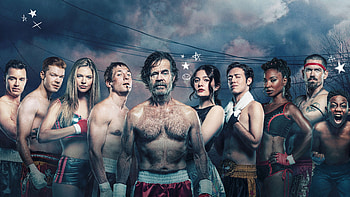 Shameless Season 11 2020, shameless, tv-shows HD wallpaper