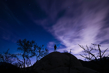 Nature, Trees, Night, Starry Sky, Elevation HD wallpaper