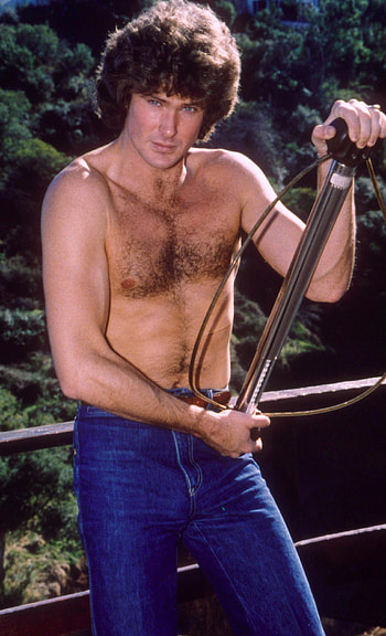 David Hasselhoff movies, Age inquiry, Hayley Roberts, Net worth revelation HD phone wallpaper