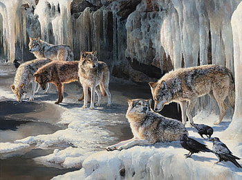 Icy hiding Place, winter, cold, wolves, animals HD wallpaper