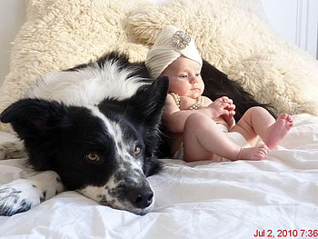 A Dog's Best Friend!, dog, baby, cute, friend HD wallpaper