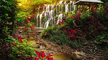 Waterfall in park, flowers, spring, park, plants, gazebo, garden, beautiful, summer, waterfall, cascades, greenery, stream HD wallpaper
