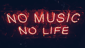 Neon sign, Glow in the Dark HD wallpaper