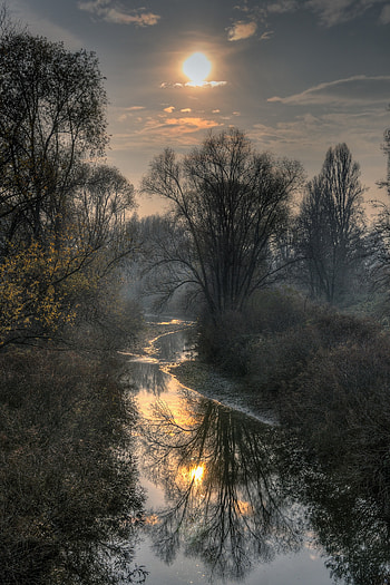 Nature, Rivers, Trees, Sun, Branches HD phone wallpaper
