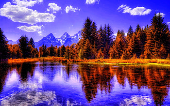 Riverside, river, autumn, nature, tree HD wallpaper