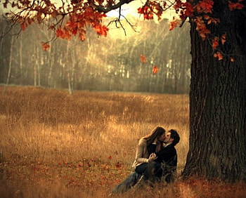 A Kiss Under the Tree, couples, love, kiss, romance, romantic HD wallpaper