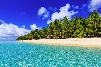 Tropical Sandy Beach Paradise, Palm Trees, Nature, Oceans, Beaches, Tropics HD wallpaper