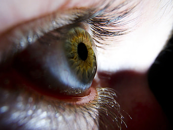 Macro, Eye, Pupil, Eyelash, Eyelashes HD wallpaper