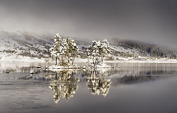 Winter, lake, reflections, nature HD wallpaper