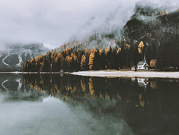 Nature, Trees, Autumn, Lock, Lake, Fog HD wallpaper