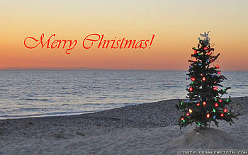 : Christmas treeon beach island . Resolution: | | . Res: | | HD wallpaper