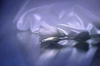 ☼ ✿ ☼, beauiful, style, colors, flowers, nice HD wallpaper